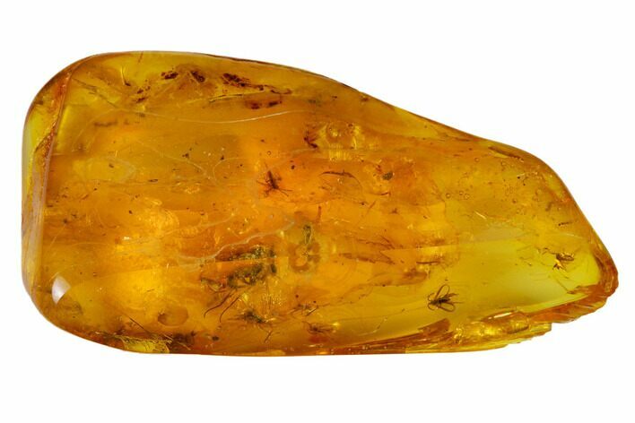 Fossil Fly Swarm (Diptera) In Baltic Amber #166219